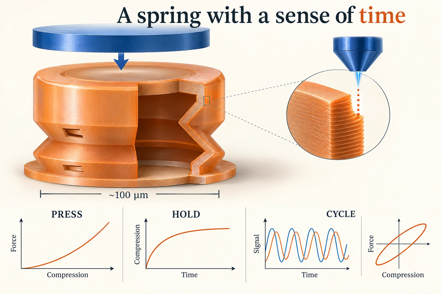 Graphical abstract for A nonlinear viscoelastic 3D bellows microspring fabricated with two-photon polymerization
