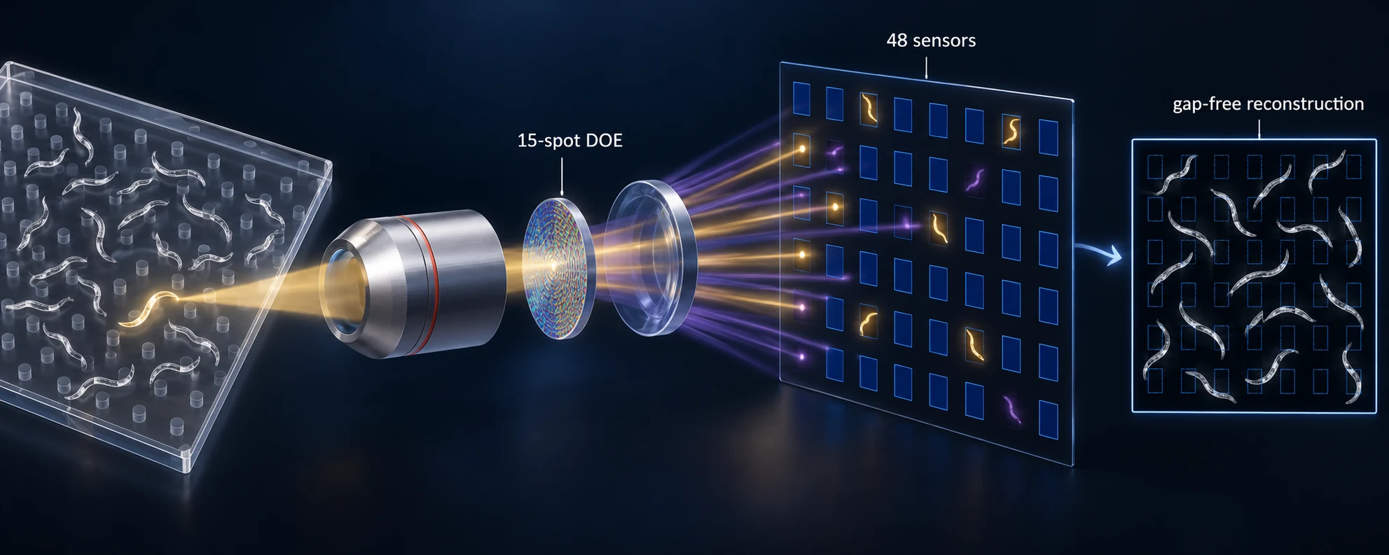 Graphical abstract for Large-scale compressive microscopy via diffractive multiplexing across a sensor array