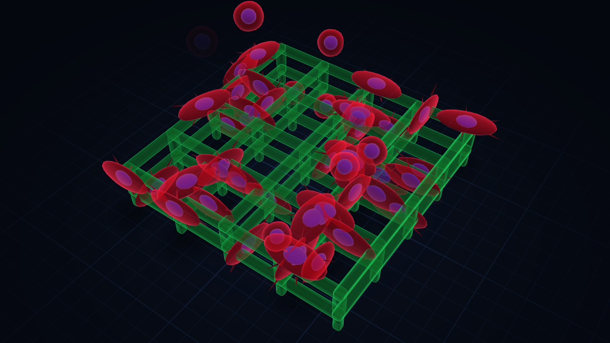 Cover for Surface-Functionalized Poly(2-Oxazoline)-Based Grids Produced by Two-Photon Polymerization as 3D-Structured Hydrogels Promoting Cell Adhesion