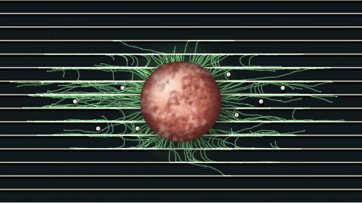 Cover for 3D Nanoprinted Structures Promote Robust Integration of Brain Organoids into Topography-Guided Neuronal Networks