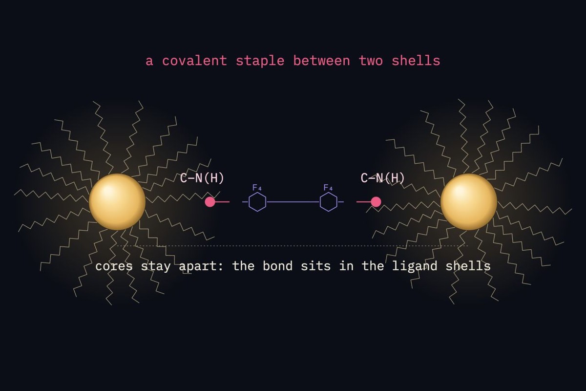 Cover for Viscoelasticity-guided covalent assembly of atomically precise nanoclusters via nitrene-mediated two-photon lithography