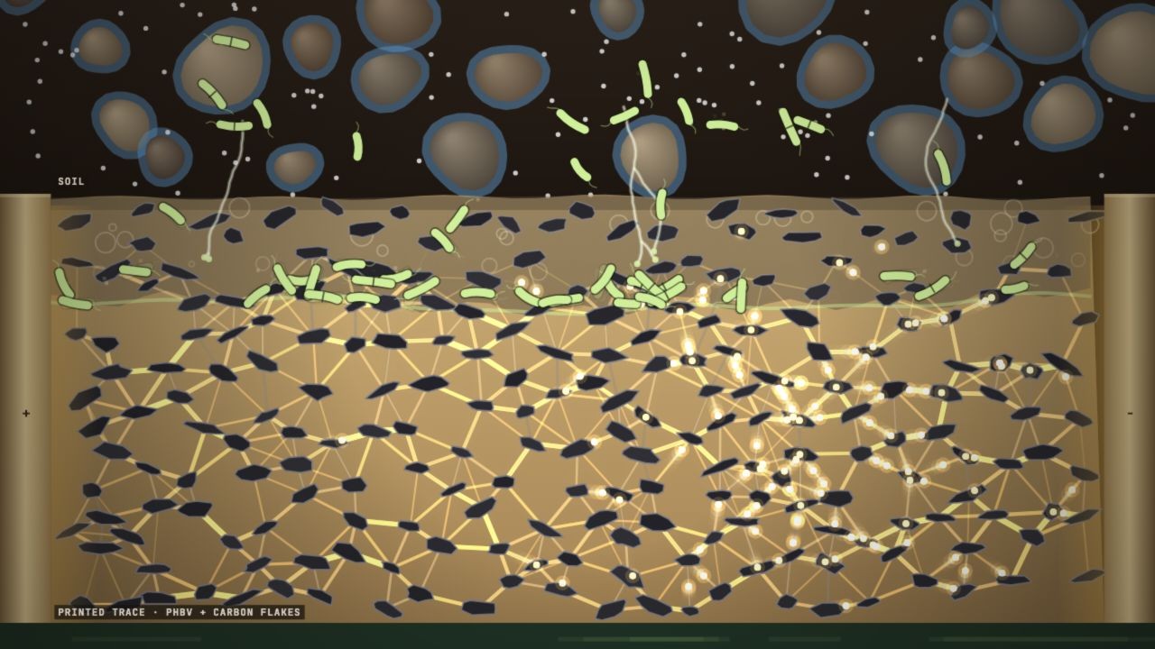 Cover for Printed PHBV-Based Sensors as a Real-Time Proxy for Soil Microbial Decomposer Activity During Drought and Flood Recovery