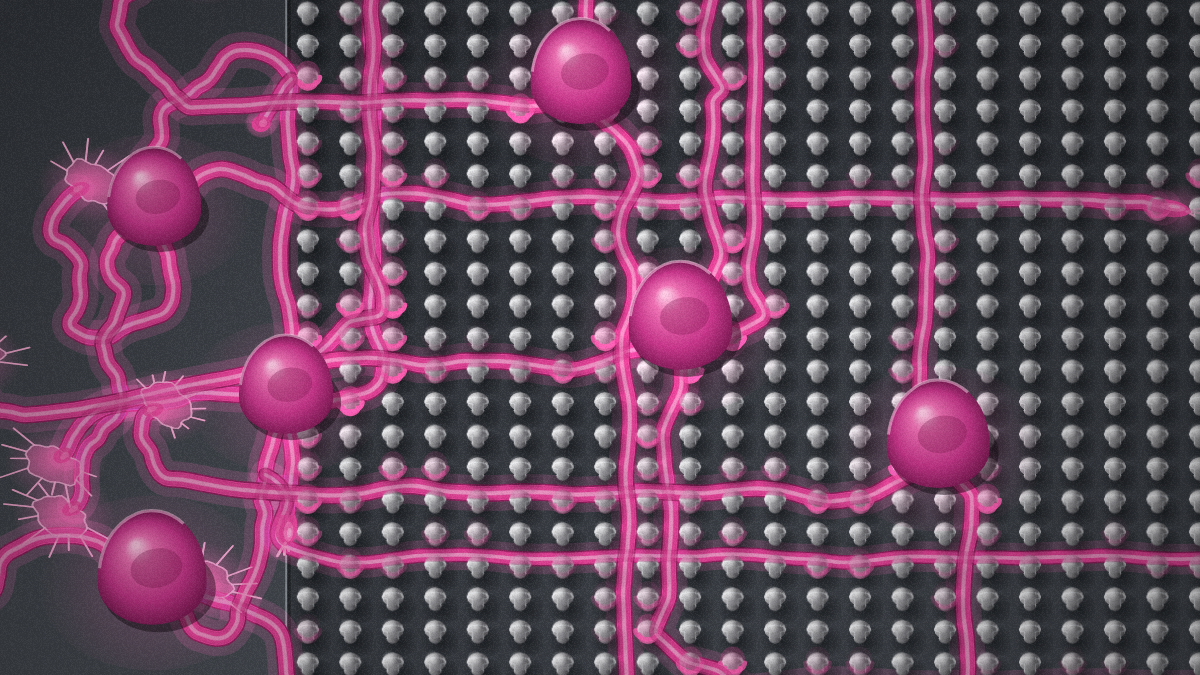 Cover for How Neuromorphic Microstructures Control In Vitro Early‐Stage Neuronal Outgrowth