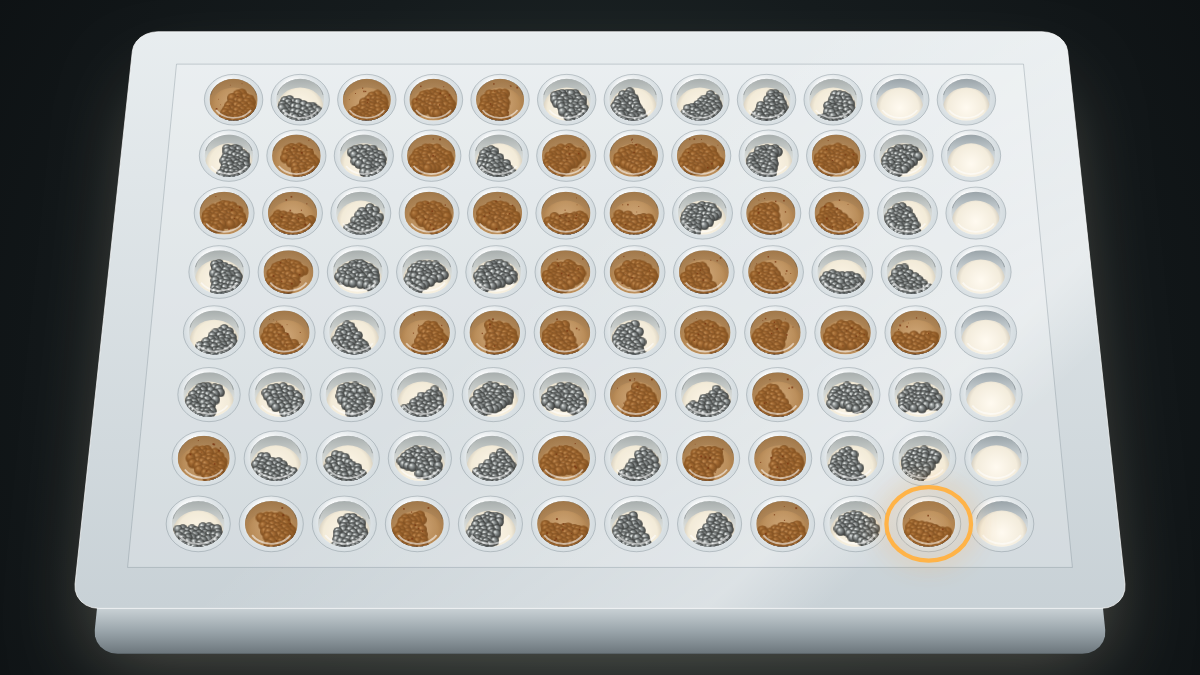 Cover for DURABLE: A Workflow for Determining Corrosion-Driving and Protective Microbial Mechanisms
