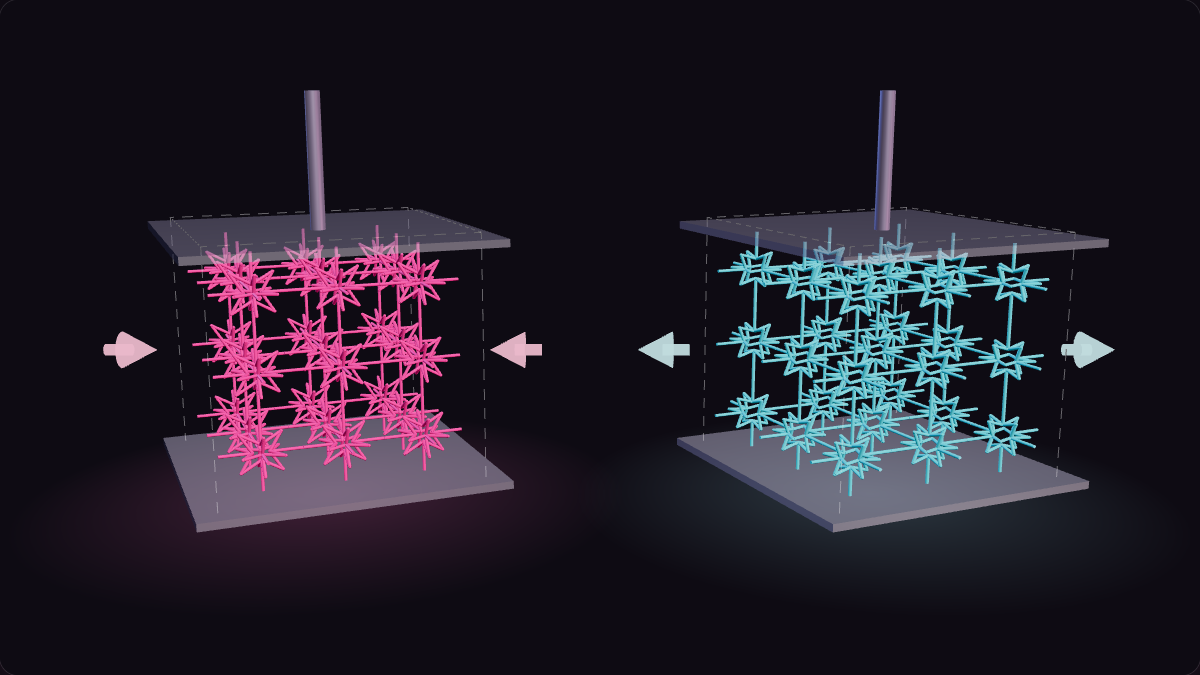 Cover for Decoupling mechanical and morphometric properties in meta-biomaterials